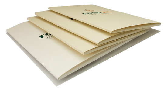 papka4